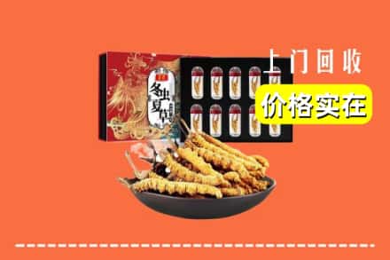开远市回收冬虫夏草