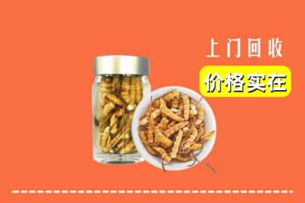 收购资讯:开远市回收散虫草