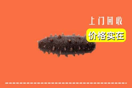 收购资讯:开远市回收海参